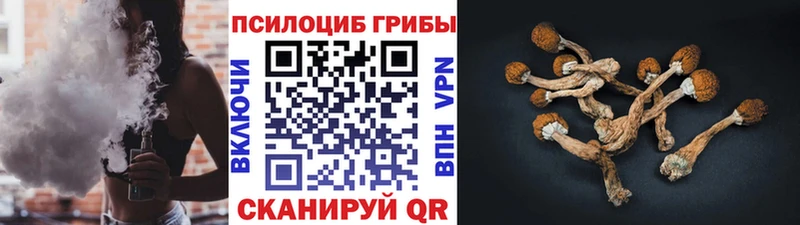 OMG ТОР  Павловский Посад  Галлюциногенные грибы Magic Shrooms 